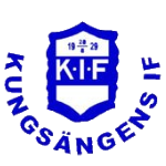辛內斯塔 辛內斯塔